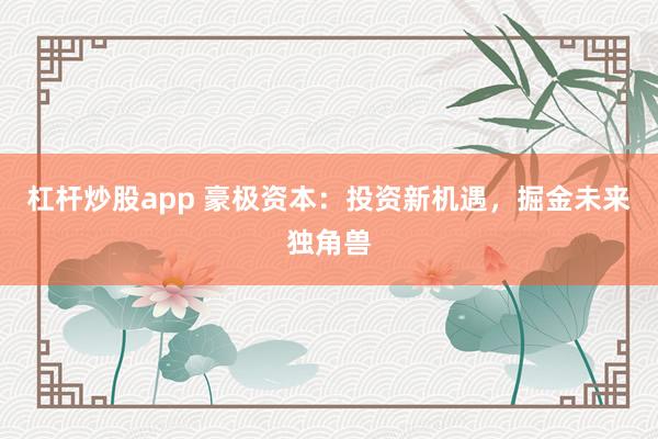 杠杆炒股app 豪极资本：投资新机遇，掘金未来独角兽