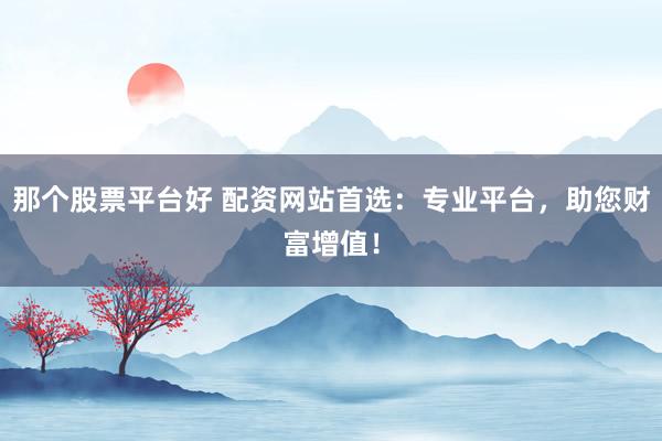 那个股票平台好 配资网站首选：专业平台，助您财富增值！