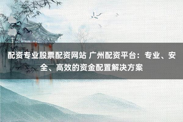 配资专业股票配资网站 广州配资平台：专业、安全、高效的资金配置解决方案