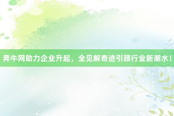 奔牛网助力企业升起，全见解奇迹引颈行业新潮水！